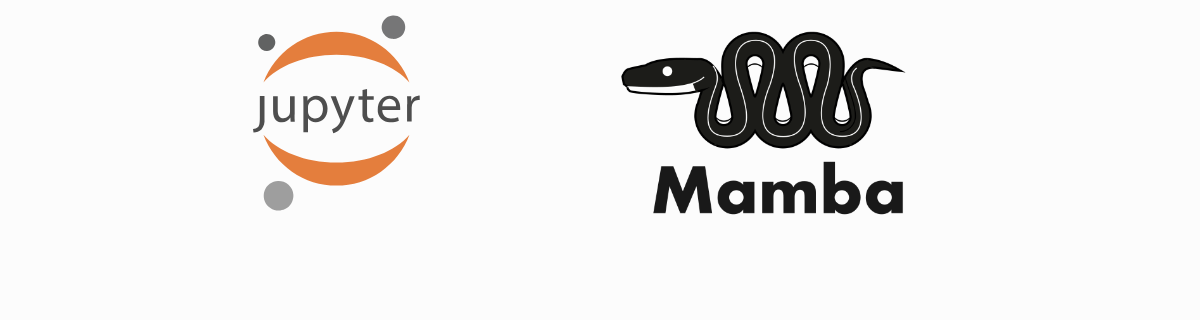 The orange, abstract, Jupyter logo and the Mamba logo which is a cute black snake.